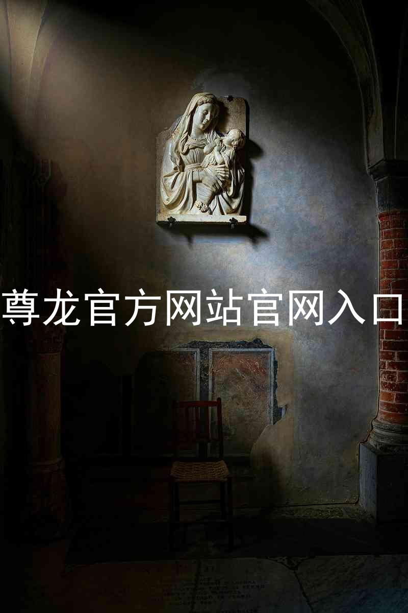 尊龙官方网站官网入口