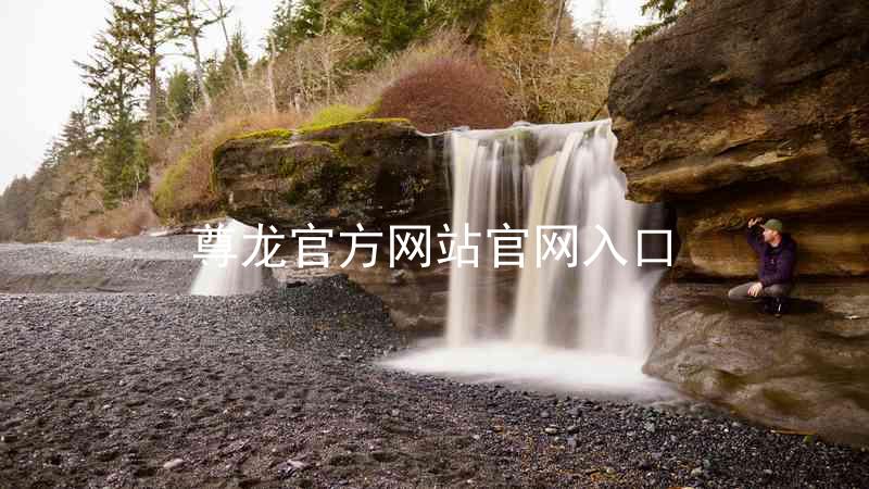 尊龙官方网站官网入口