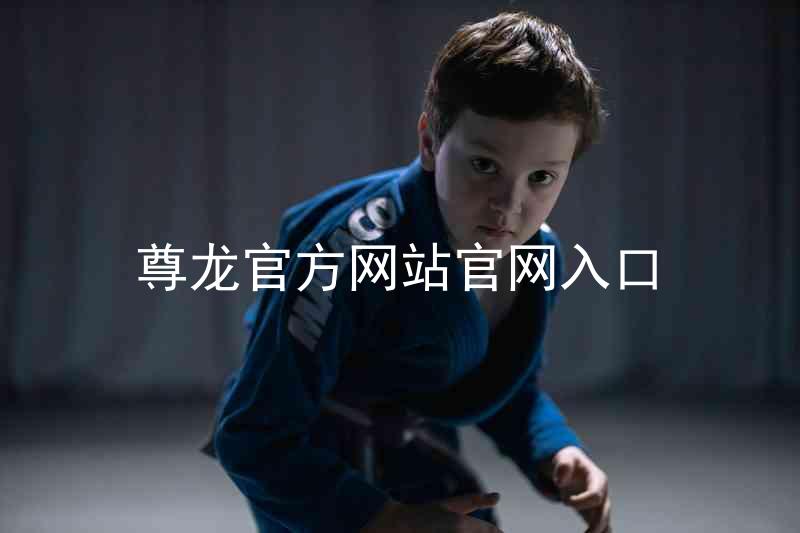 尊龙官方网站官网入口
