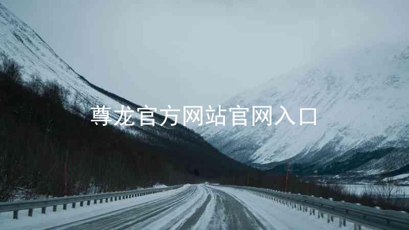 尊龙官方网站官网入口