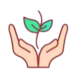 ��ʽ�߶˰��